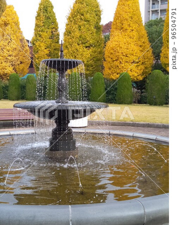 秋の街中の公園　紅葉のオアシス 96504791