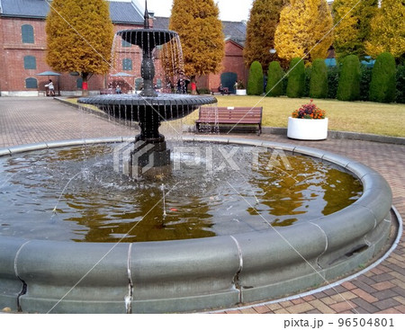秋の街中の公園　紅葉のオアシス 96504801