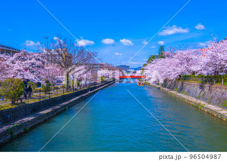 京都　岡崎疏水の桜と十石舟 96504987