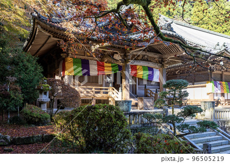 大雄山 最乗寺の景色 大雄山 最乗寺の景色 96505219