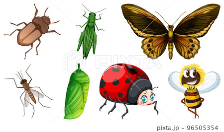 Set of different kinds of insects 96505354
