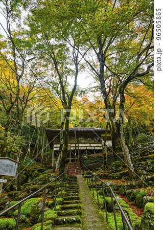 紅葉を迎えた古知谷阿弥陀寺（こちだにあみだじ） 96505865