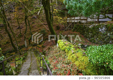 古知谷阿弥陀寺（こちだにあみだじ）参道 96505866