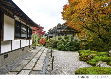 紅葉を迎えた古知谷阿弥陀寺（こちだにあみだじ） 96505867