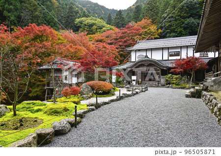 紅葉を迎えた古知谷阿弥陀寺（こちだにあみだじ） 96505871