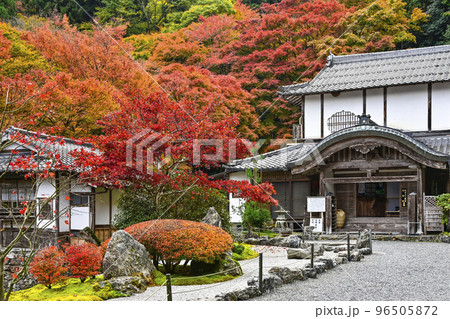 紅葉を迎えた古知谷阿弥陀寺（こちだにあみだじ） 96505872