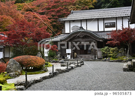 紅葉を迎えた古知谷阿弥陀寺(こちだにあみだじ) 紅葉を迎えた古知谷阿弥陀寺(こちだにあみだじ) 96505873
