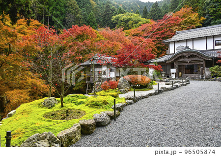紅葉を迎えた古知谷阿弥陀寺（こちだにあみだじ） 96505874