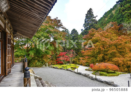 紅葉を迎えた古知谷阿弥陀寺（こちだにあみだじ） 96505888