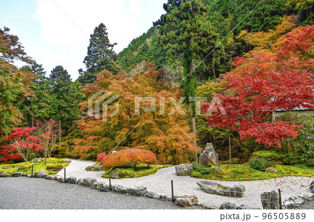 紅葉を迎えた古知谷阿弥陀寺（こちだにあみだじ） 96505889