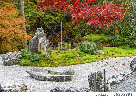 紅葉を迎えた古知谷阿弥陀寺（こちだにあみだじ） 96505892