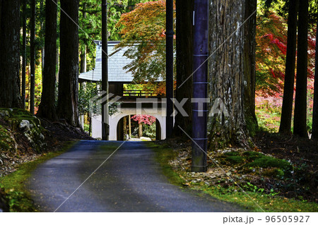 紅葉を迎えた古知谷阿弥陀寺（こちだにあみだじ） 96505927