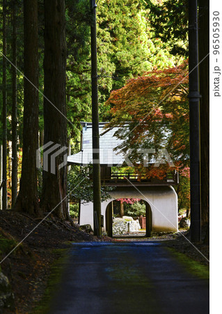 紅葉を迎えた古知谷阿弥陀寺（こちだにあみだじ） 96505930