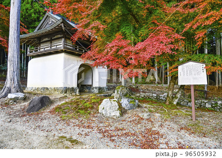 紅葉を迎えた古知谷阿弥陀寺（こちだにあみだじ） 96505932