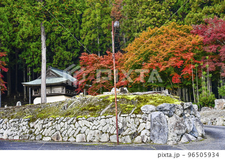 紅葉を迎えた古知谷阿弥陀寺(こちだにあみだじ) 紅葉を迎えた古知谷阿弥陀寺(こちだにあみだじ) 96505934