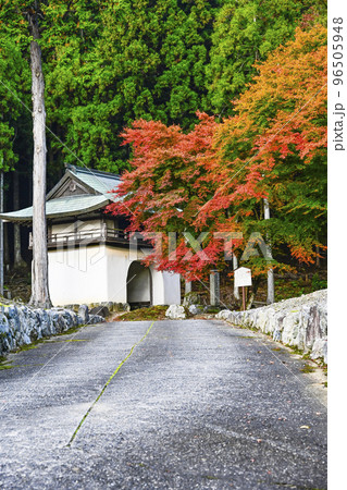 紅葉を迎えた古知谷阿弥陀寺（こちだにあみだじ） 96505948