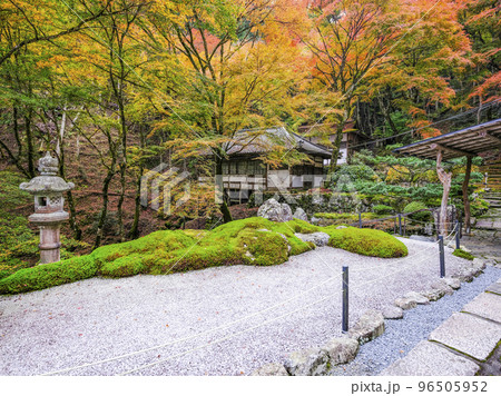 紅葉を迎えた古知谷阿弥陀寺(こちだにあみだじ)境内 紅葉を迎えた古知谷阿弥陀寺(こちだにあみだじ)境内 96505952