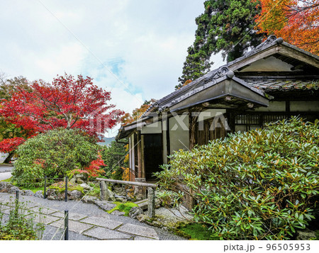 紅葉を迎えた古知谷阿弥陀寺(こちだにあみだじ)境内 紅葉を迎えた古知谷阿弥陀寺(こちだにあみだじ)境内 96505953