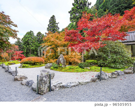 紅葉を迎えた古知谷阿弥陀寺(こちだにあみだじ)境内 紅葉を迎えた古知谷阿弥陀寺(こちだにあみだじ)境内 96505955