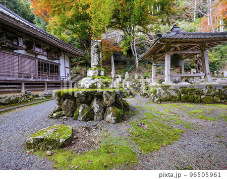 紅葉を迎えた古知谷阿弥陀寺(こちだにあみだじ)境内 紅葉を迎えた古知谷阿弥陀寺(こちだにあみだじ)境内 96505961