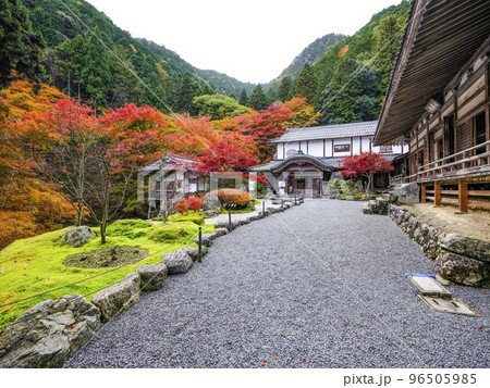 紅葉を迎えた古知谷阿弥陀寺(こちだにあみだじ)境内 紅葉を迎えた古知谷阿弥陀寺(こちだにあみだじ)境内 96505985