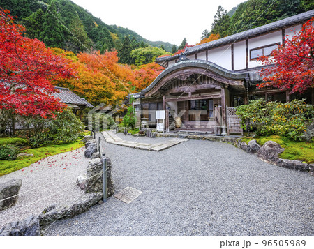 紅葉を迎えた古知谷阿弥陀寺(こちだにあみだじ)境内 紅葉を迎えた古知谷阿弥陀寺(こちだにあみだじ)境内 96505989