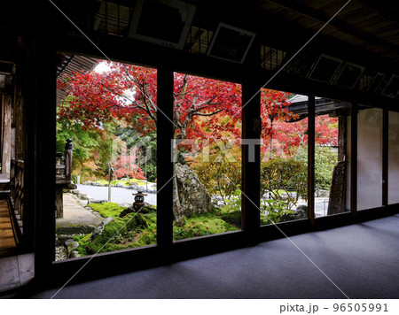 紅葉を迎えた古知谷阿弥陀寺（こちだにあみだじ）境内 96505991