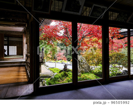 紅葉を迎えた古知谷阿弥陀寺(こちだにあみだじ)境内 紅葉を迎えた古知谷阿弥陀寺(こちだにあみだじ)境内 96505992