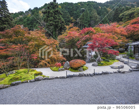 紅葉を迎えた古知谷阿弥陀寺（こちだにあみだじ）境内 96506005