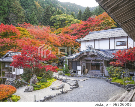 紅葉を迎えた古知谷阿弥陀寺（こちだにあみだじ）境内 96506009