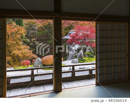 紅葉を迎えた古知谷阿弥陀寺（こちだにあみだじ）境内 96506014