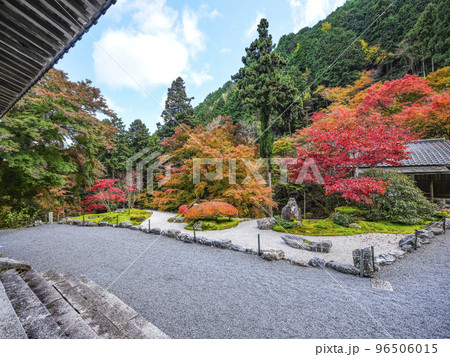 紅葉を迎えた古知谷阿弥陀寺(こちだにあみだじ)境内 紅葉を迎えた古知谷阿弥陀寺(こちだにあみだじ)境内 96506015
