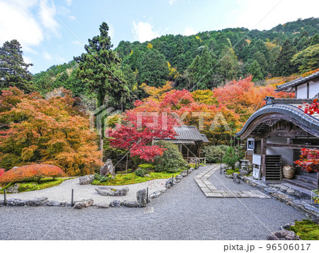 紅葉を迎えた古知谷阿弥陀寺（こちだにあみだじ）境内 96506017