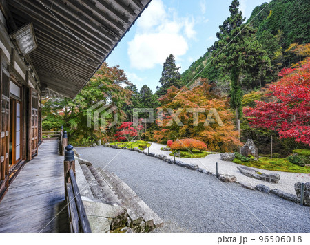 紅葉を迎えた古知谷阿弥陀寺（こちだにあみだじ）境内 96506018