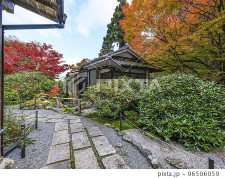 紅葉を迎えた古知谷阿弥陀寺（こちだにあみだじ）境内 96506059