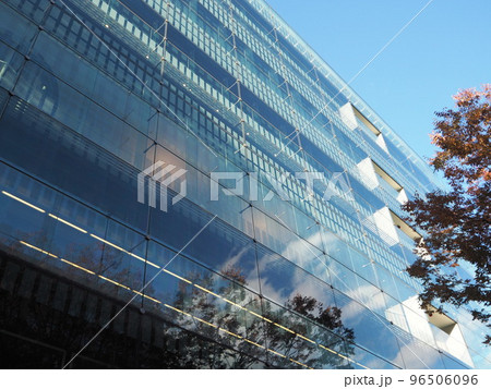 仙台メディアテークのガラス壁と映り込んだ木の葉 96506096