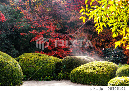 詩仙堂 紅葉 詩仙堂 紅葉 96506191