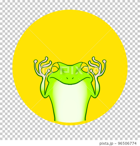 Expressive cute frog illustration icon Expressive cute frog illustration icon 96506774
