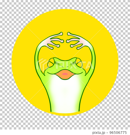 Expressive cute frog illustration icon Expressive cute frog illustration icon 96506775