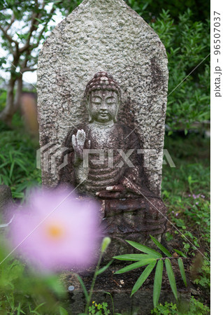 コスモス寺として有名な般若寺の石像とコスモス 96507037