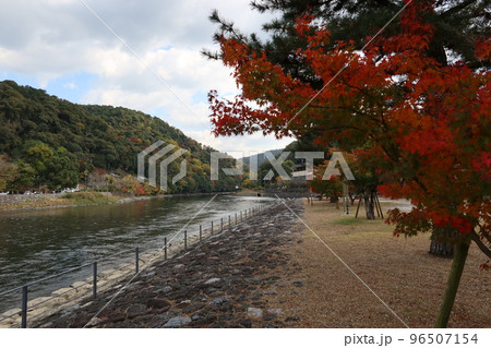 日本の観光地：中の島から見た宇治市を貫流する宇治川と紅葉風景 96507154