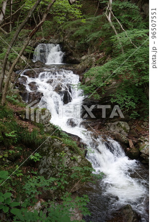 滝川渓谷 96507551