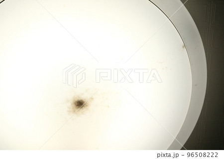 照明器具カバーの内側に溜まった小さな虫 96508222
