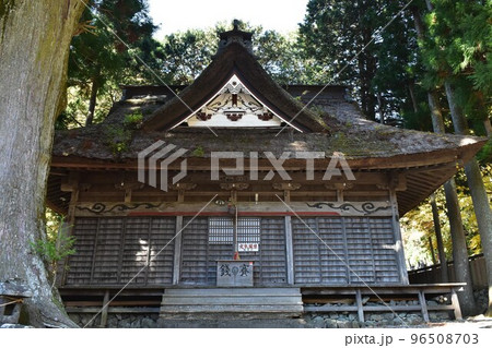 精進諏訪神社（精進の大杉） 96508703