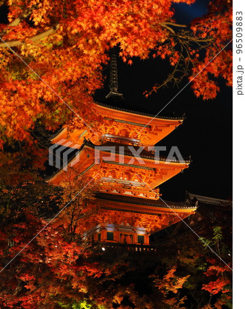 清水寺の紅葉ライトアップ　三重塔 96509883