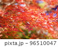 紅 96510047