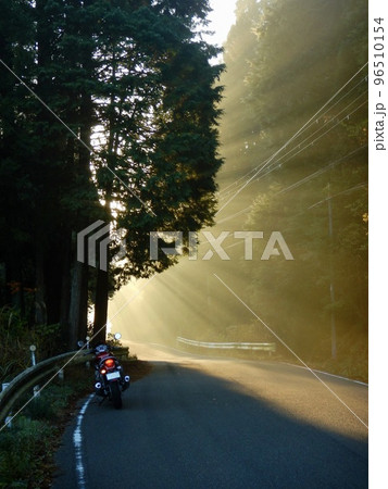 早朝バイク逆光 早朝バイク逆光 96510154