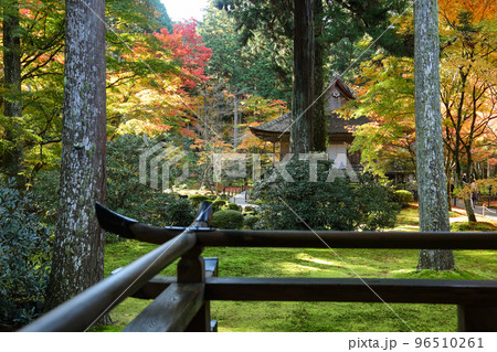 三千院の紅葉 96510261