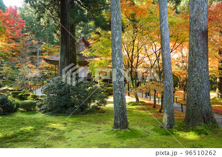 三千院の紅葉 三千院の紅葉 96510262