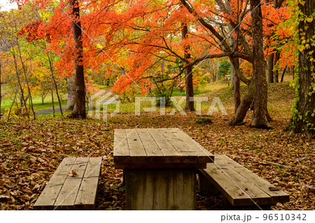 紅葉とテーブル 紅葉とテーブル 96510342